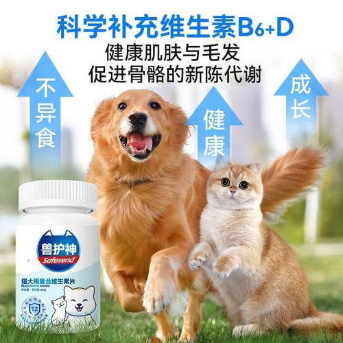 揭秘畜禽健康高产的维生素添加剂 掌握核心要点，告别养殖难题